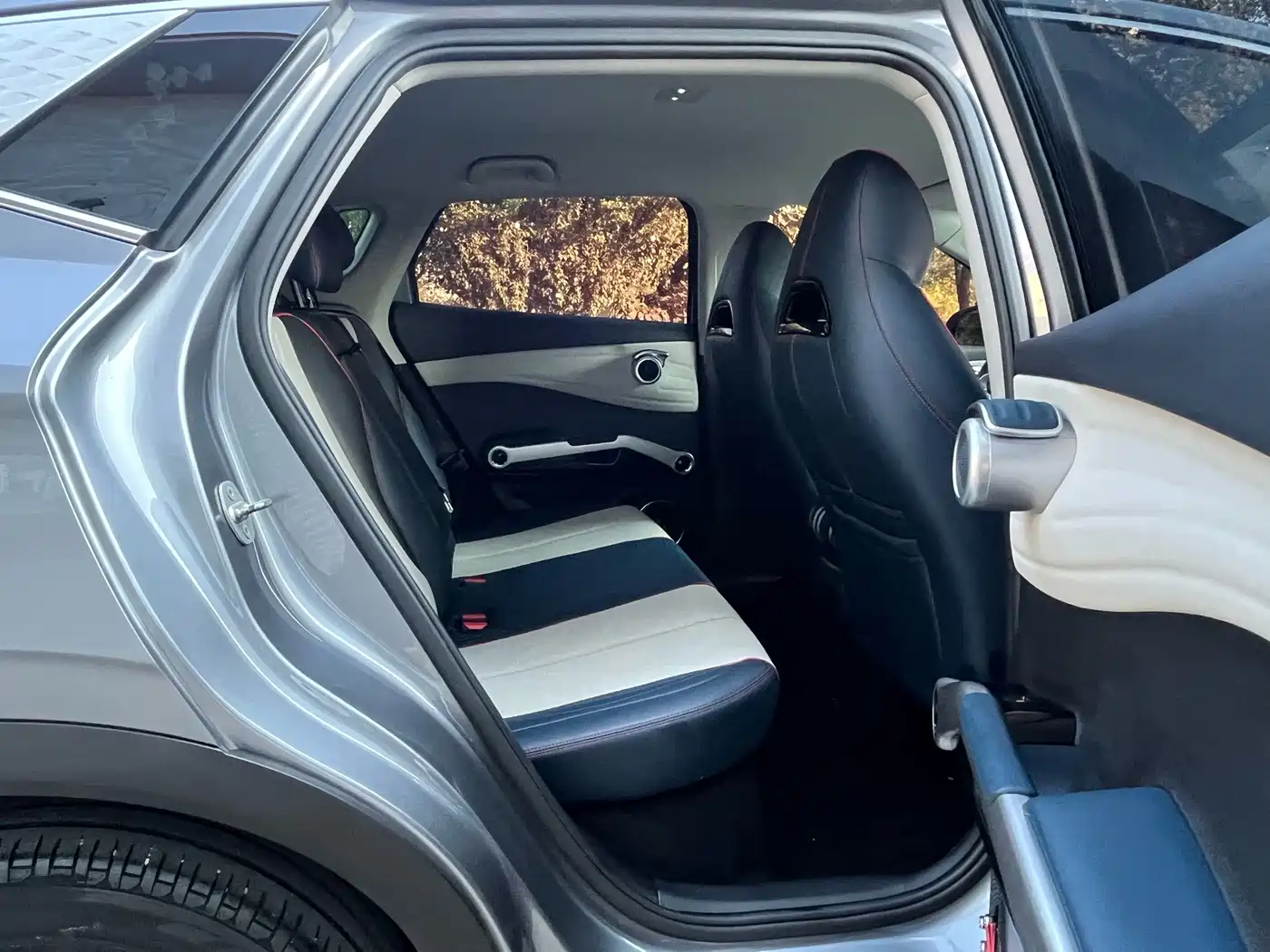 BYD Yuan PLUS 2022 2022 510KM Premium