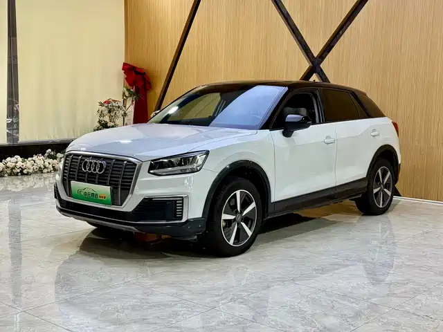  Audi Audi Q2L e-tron 2019 Q2L e-tron Pure Electric Smart Enjoyment