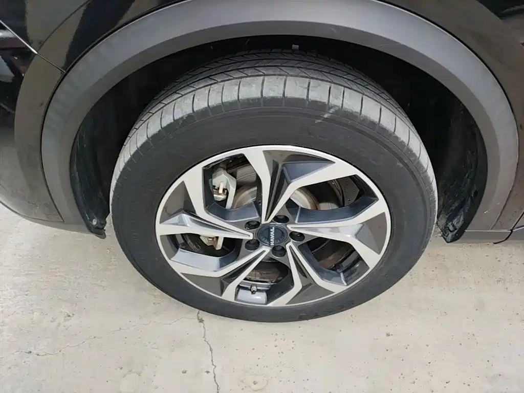 Haval Xiaolong MAX 2023 1.5L Hi4 105 4WD Pilot Edition фото 25