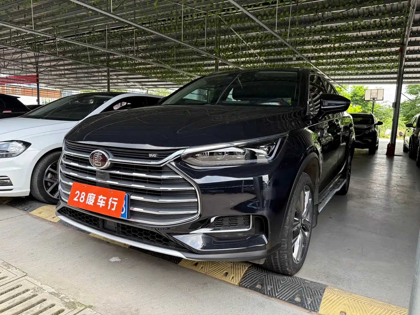 BYD TANG
