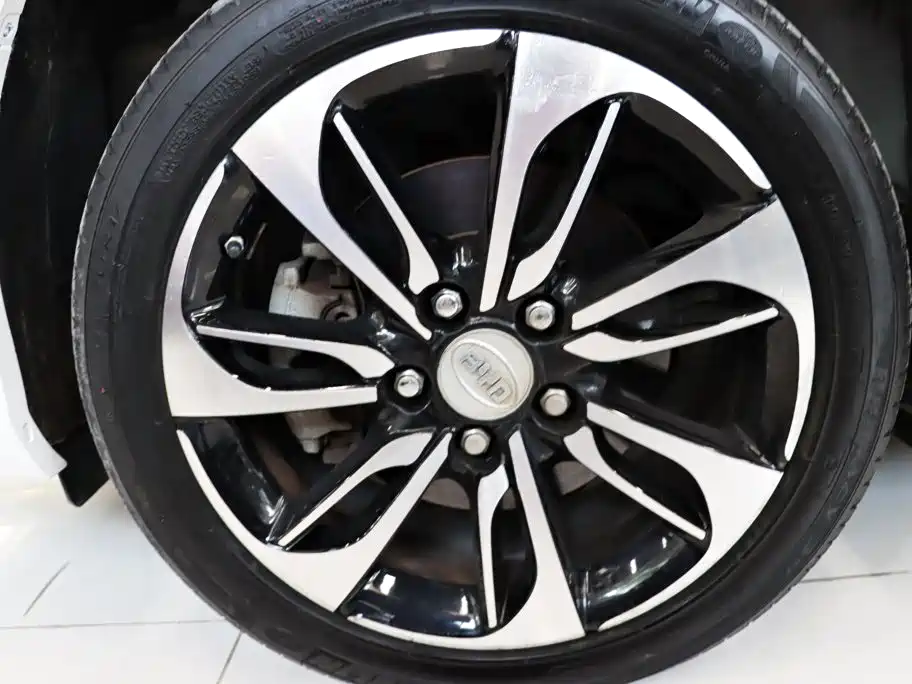 BYD Qin New Energy 2016 2016 Qin EV300 Honor