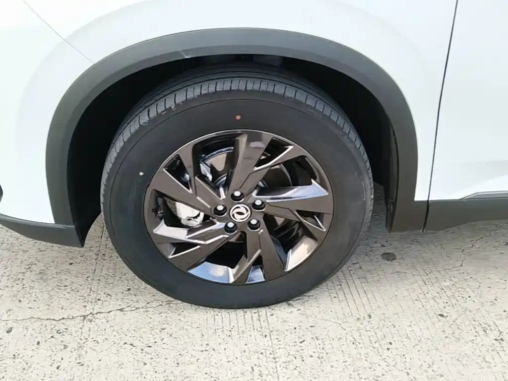 Dongfeng Aeolus SKY EV01 2024 2024 530km PRO