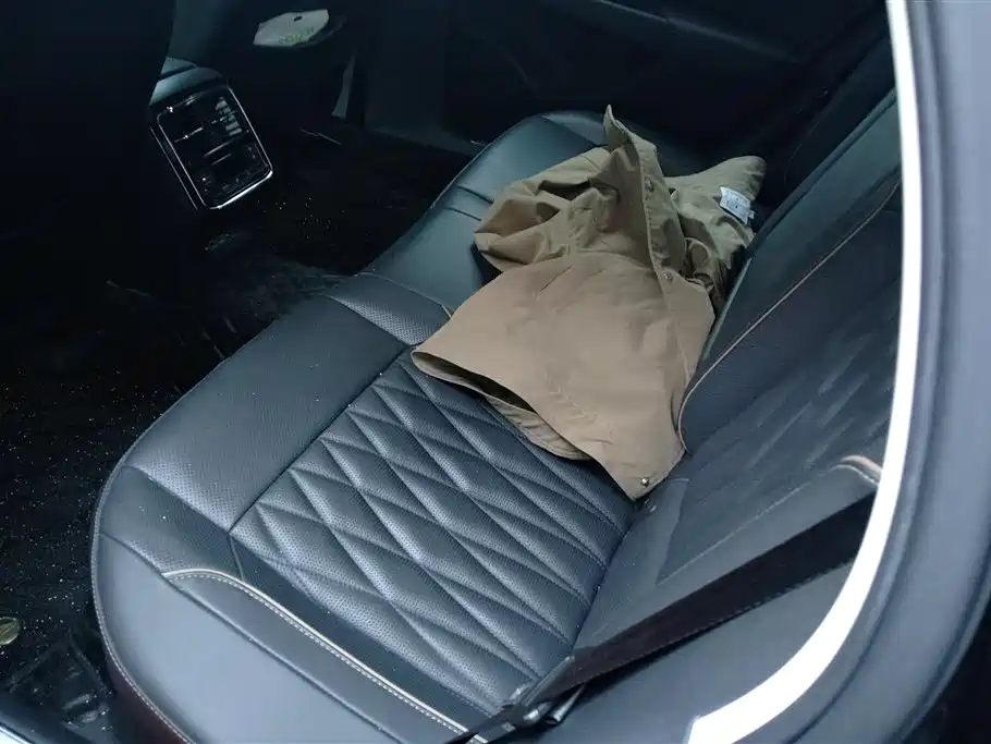 VOLKSWAGEN PASSAT NEW ENERGY