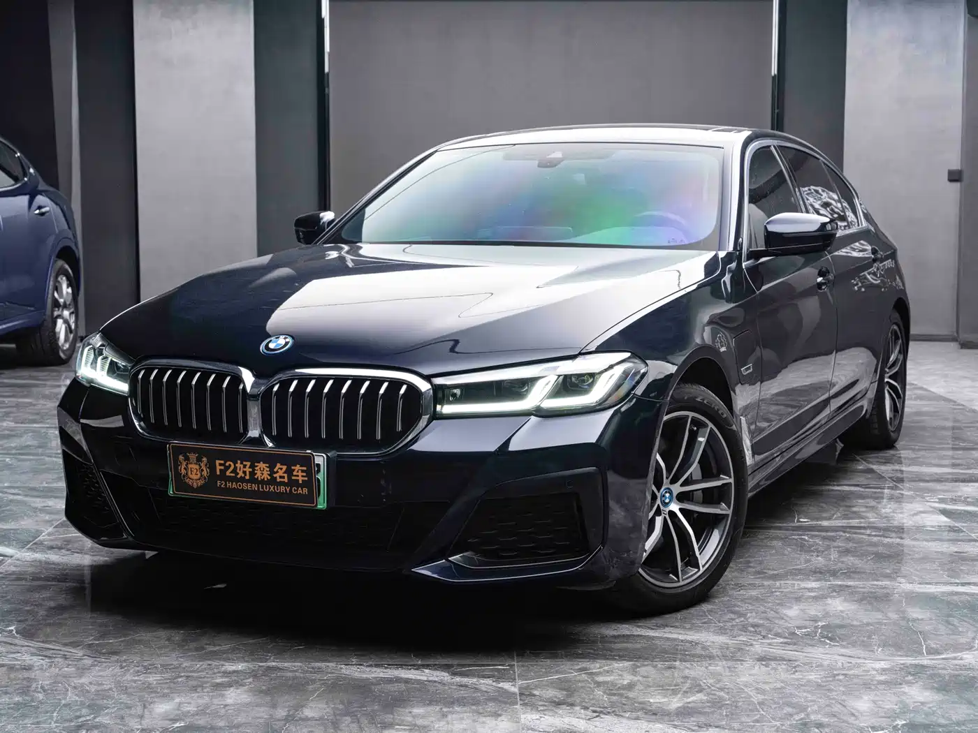 BMW 5 Series New Energy 2022 Model Second Facelift 535Le M Sport Package