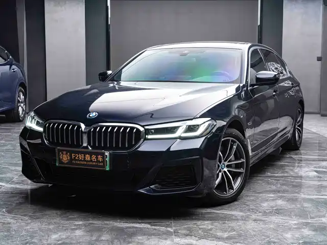 BMW 5 Series New Energy 2022 Model Second Facelift 535Le M Sport Package