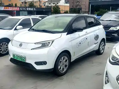 EV House Young Guang Xiaoxin
