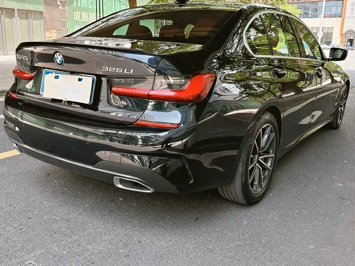 BMW 3 Series 2020 325Li M Sport Package фото 16