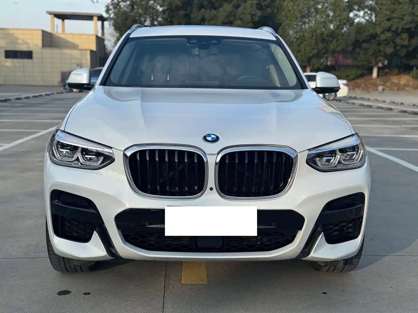 BMW X3 2020 xDrive30i Leading M Sport Package фото 2
