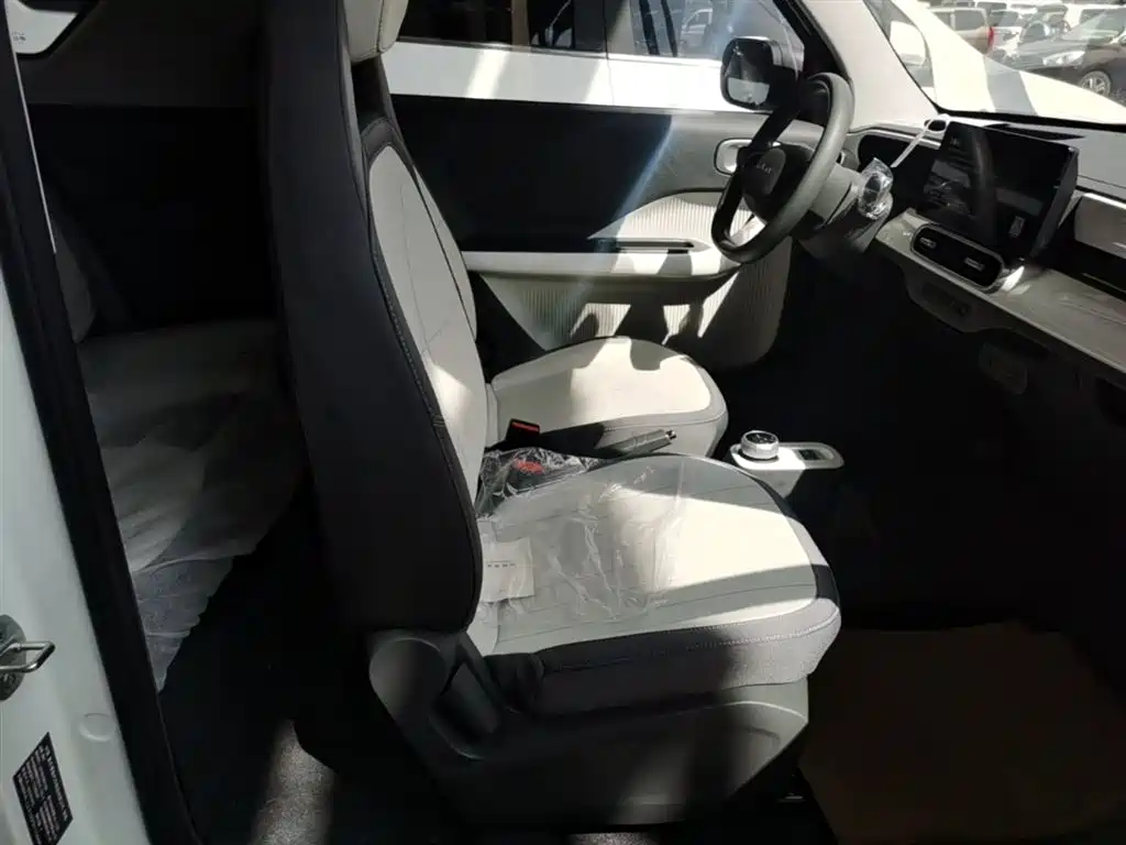 Ruilan Auto Ruilan Blue Elf 2026 2025 Base Model