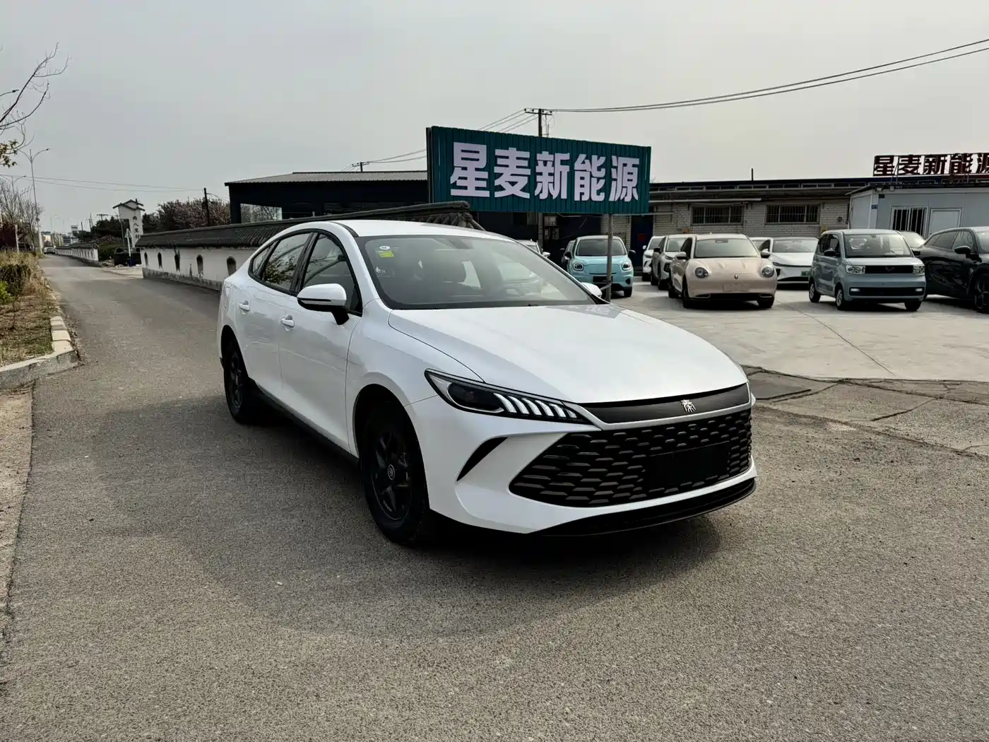 BYD Qin PLUS 2026 DM-i 128KM Progressive фото 3