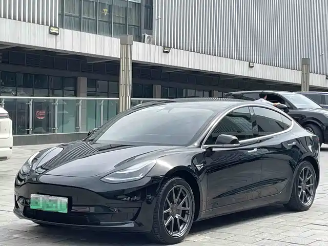 Tesla Model 3 2020 Standard Range Rear-Wheel Drive Upgrade
