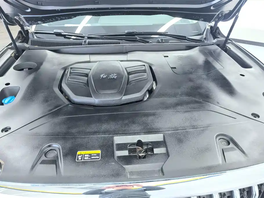 Hongqi HS5 2022 Facelift 2.0T Smart Flag Enjoyment Edition фото 10