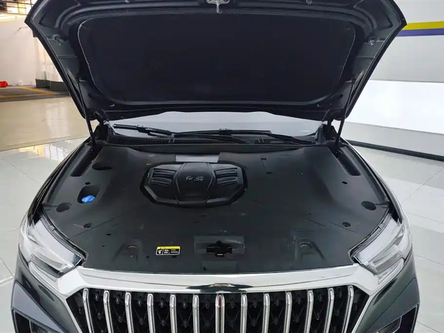 Hongqi HS5 2022 Facelift 2.0T Smart Flag Enjoyment Edition фото 10