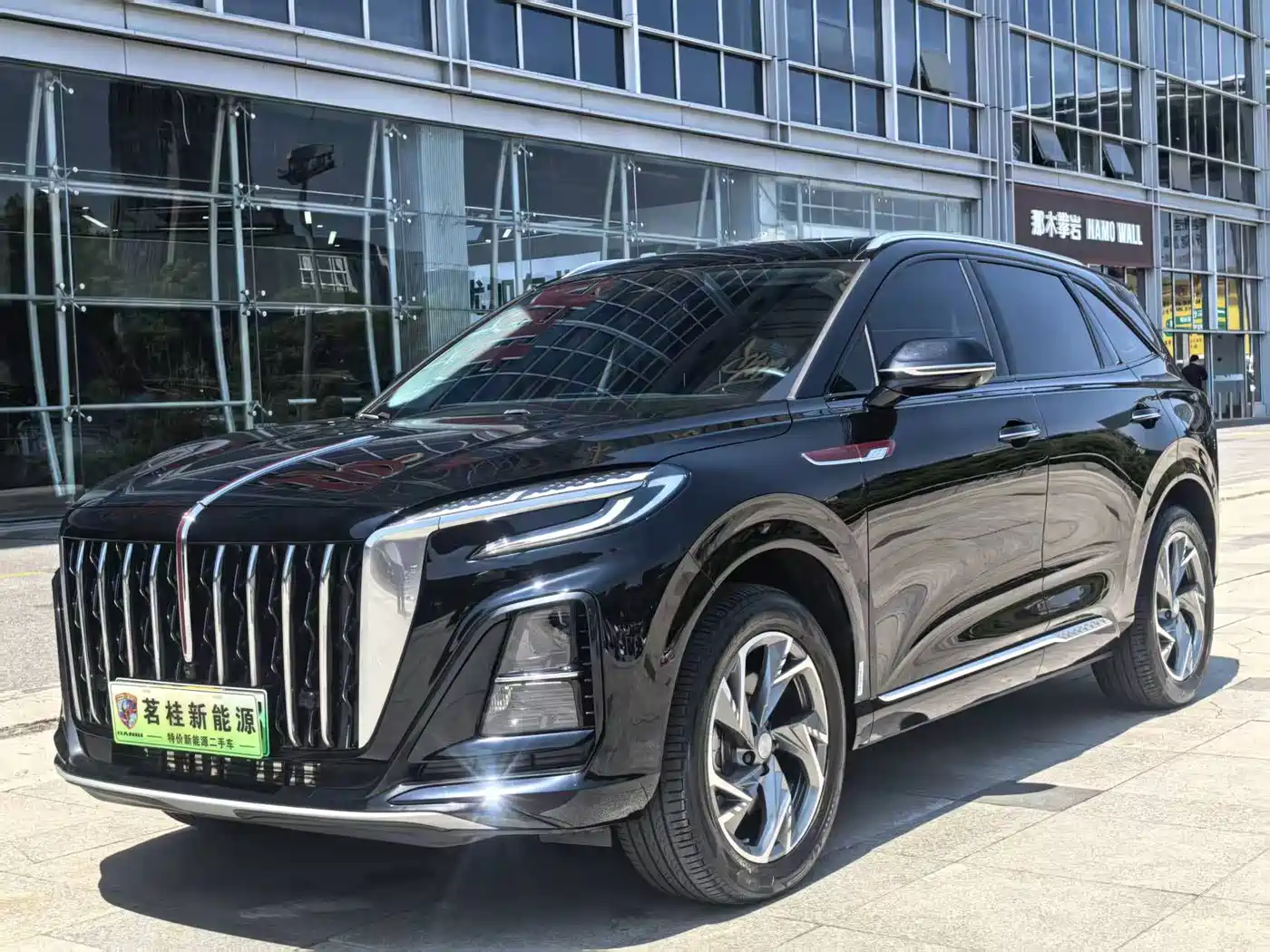 Hongqi HS3 PHEV 2024 PHEV 115km Power Edition