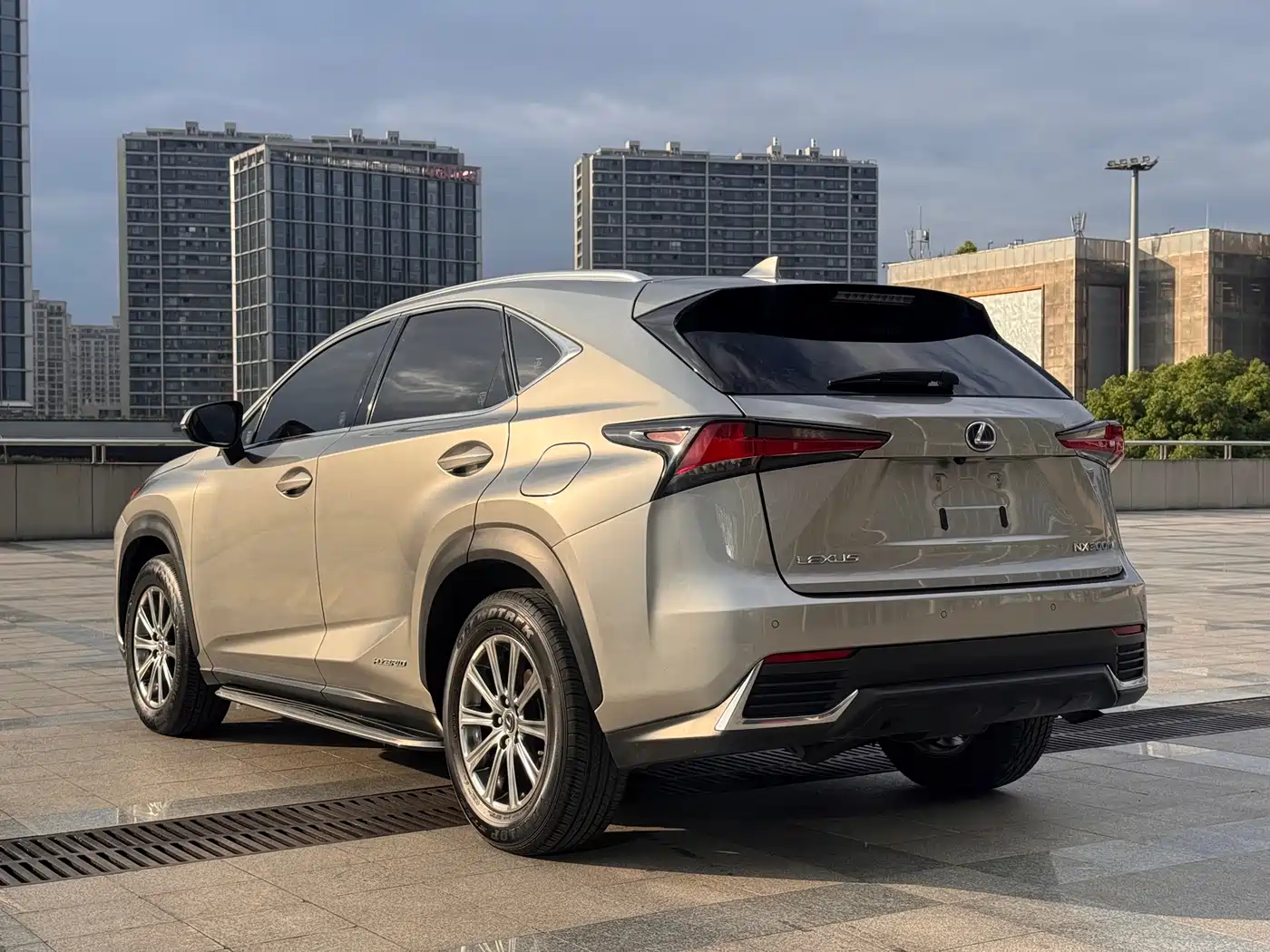 Lexus NX 2020 300 AWD F Sport China V фото 7