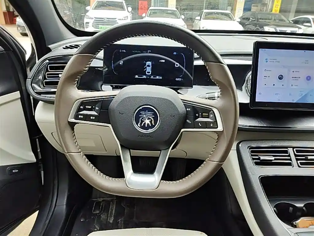 BYD Qin PLUS 2023 Champion Edition DM-i 55KM Leading фото 11