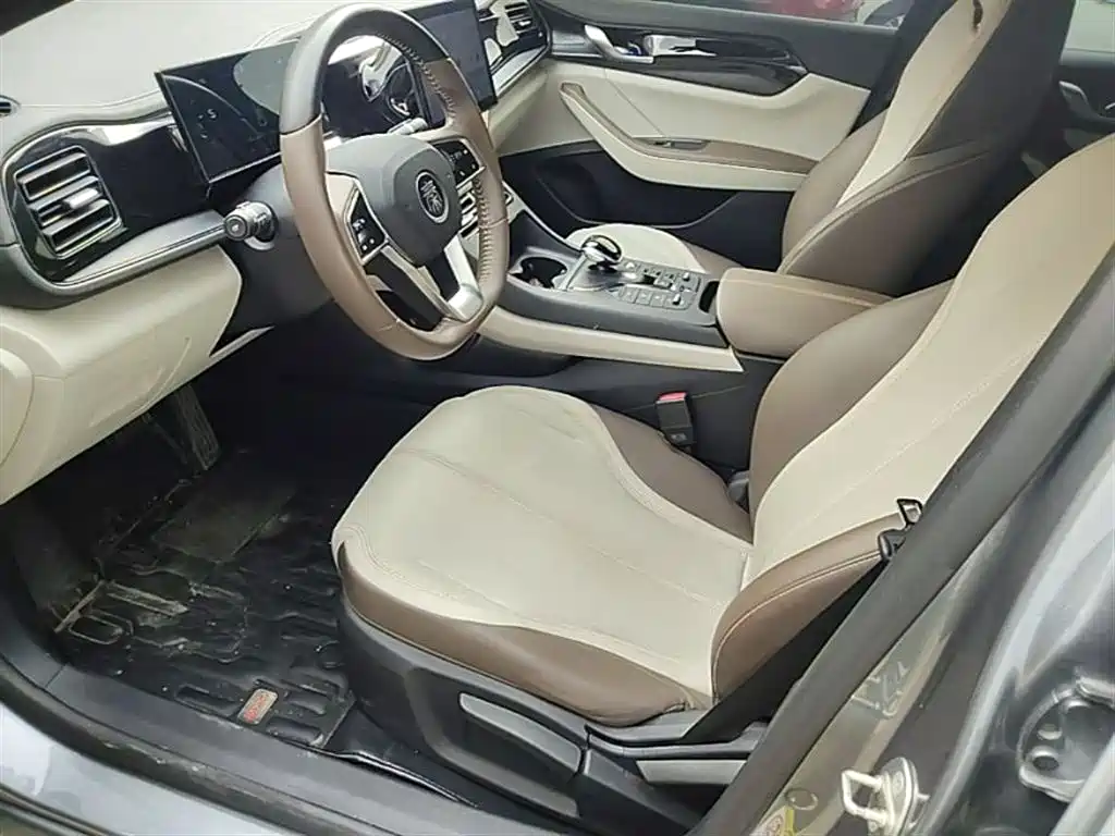 BYD Qin PLUS 2023 Champion Edition DM-i 55KM Leading фото 15