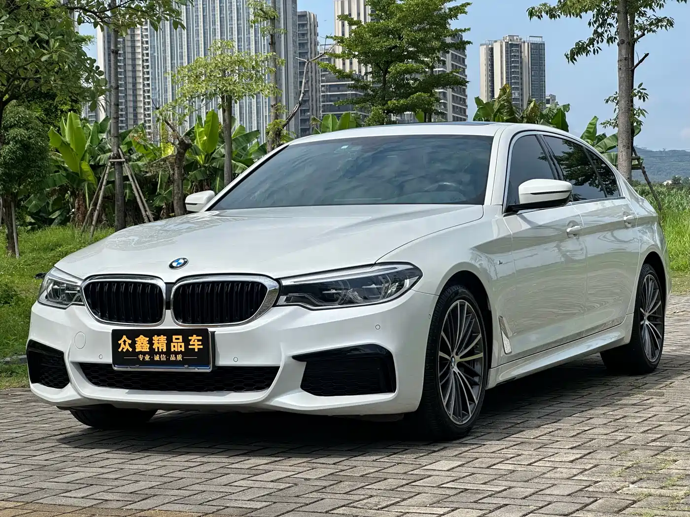 BMW 5 Series 2020 530Li Leading M Sport Package