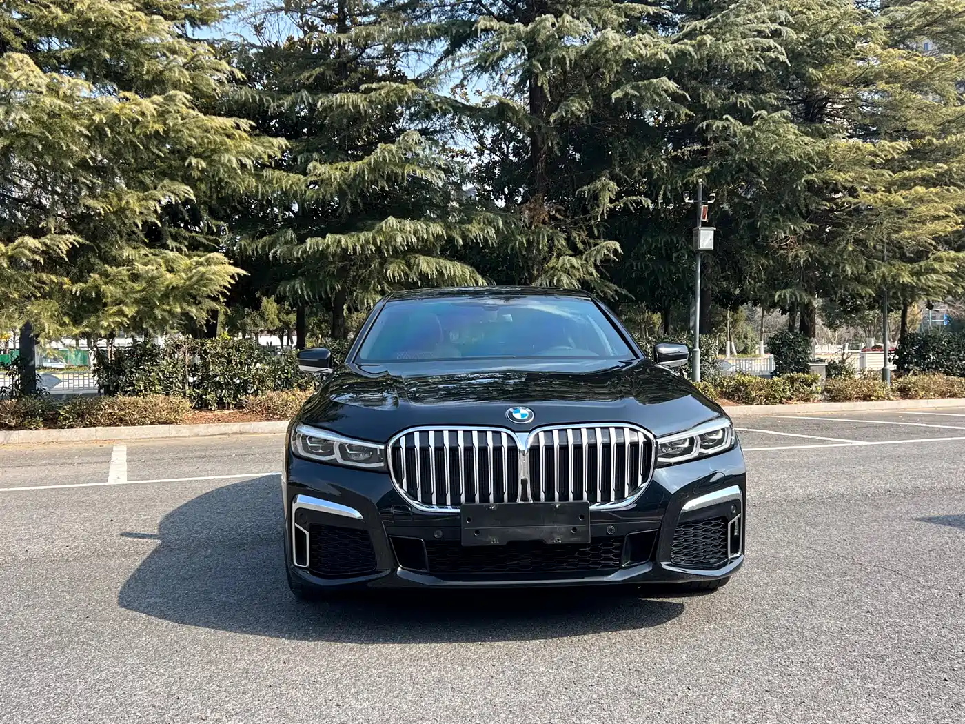 BMW 7 Series 2019 Facelift 730Li M Sport Package фото 6