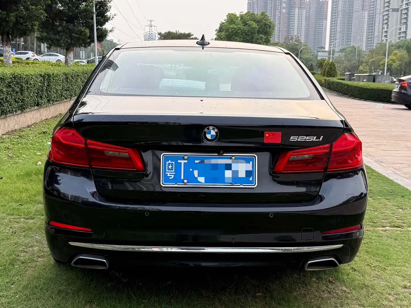 BMW 5 Series 2018 525Li Luxury Package фото 8