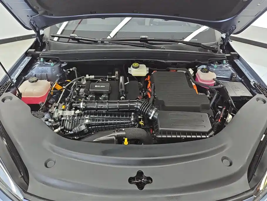 BYD Hai Bao 05 DM-i 2025 DM-i Smart Drive Edition 55KM Luxury фото 10