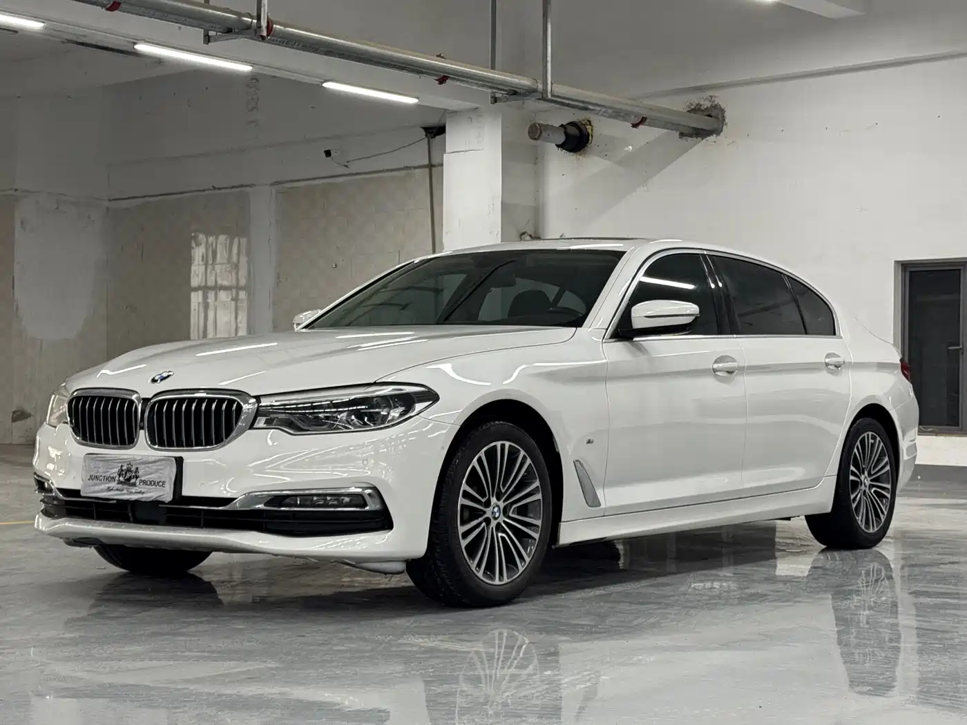 BMW 5 Series 2019 530Li Premium Luxury Package