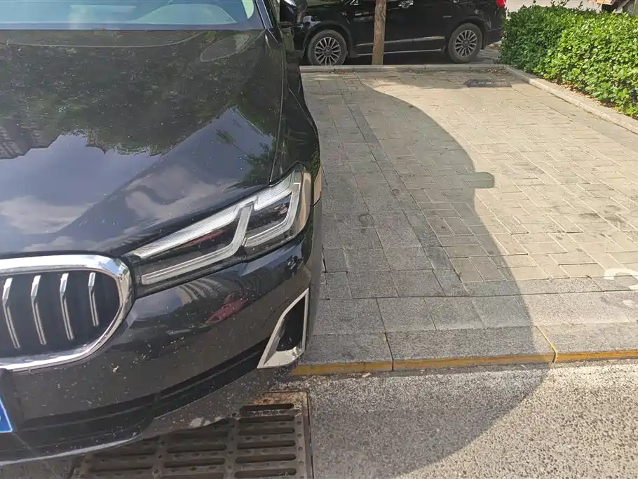 BMW 5 Series 2021 530Li xDrive Luxury Package фото 5