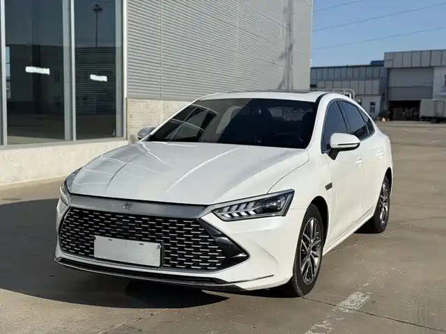  BYD Qin PLUS 2021 DM-i 55KM Flagship