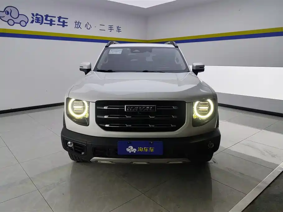 HAVAL BIG DOG