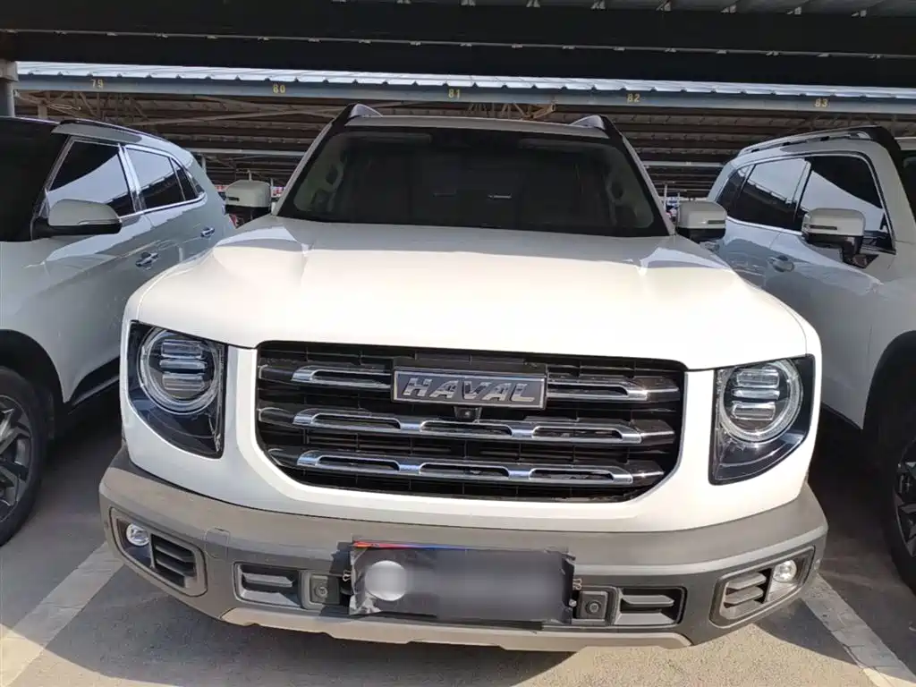 Haval Big Dog 2021 1.5T DCT 2WD Border Collie Edition фото 3