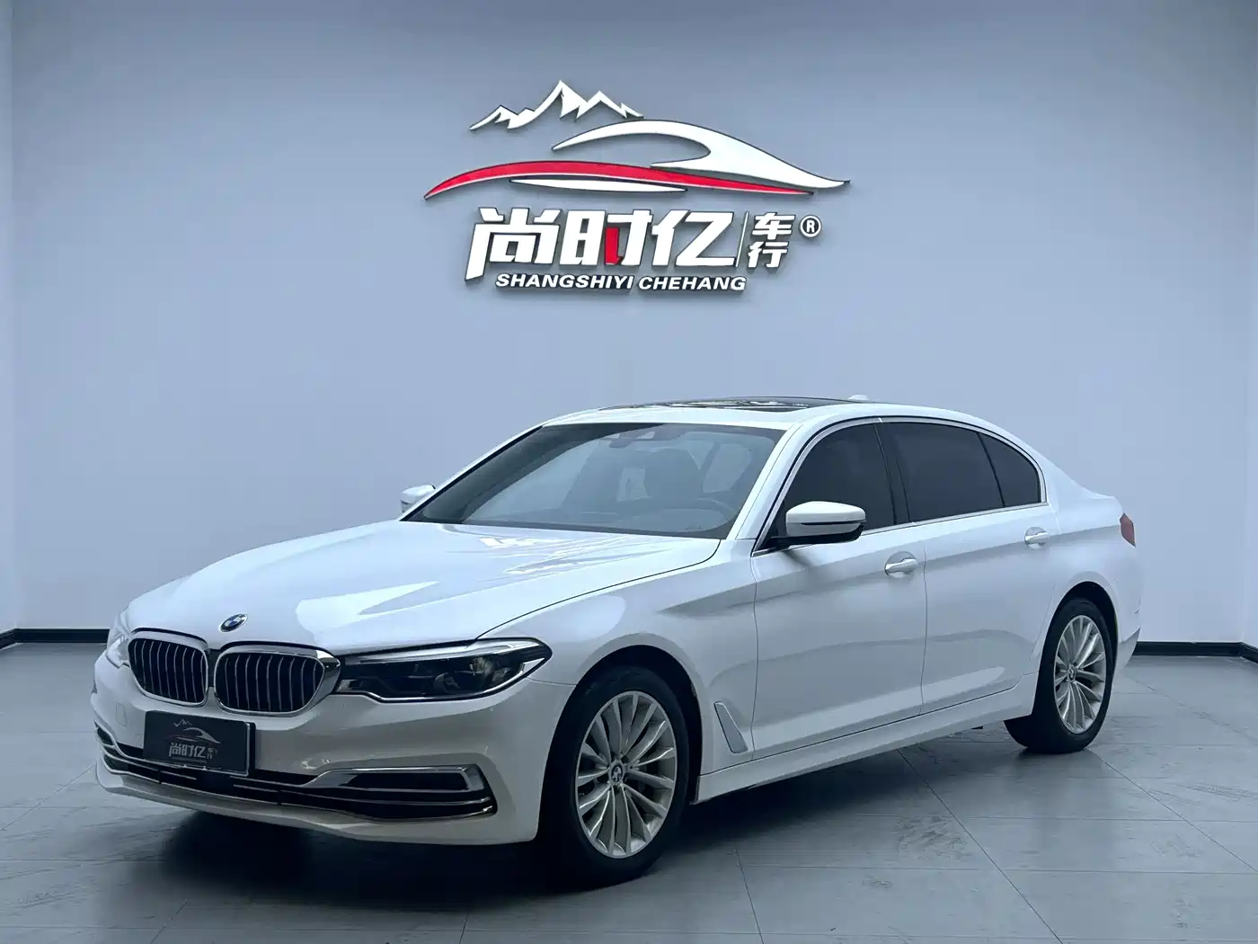 BMW 5 Series 2020 530Li Leading Luxury Package