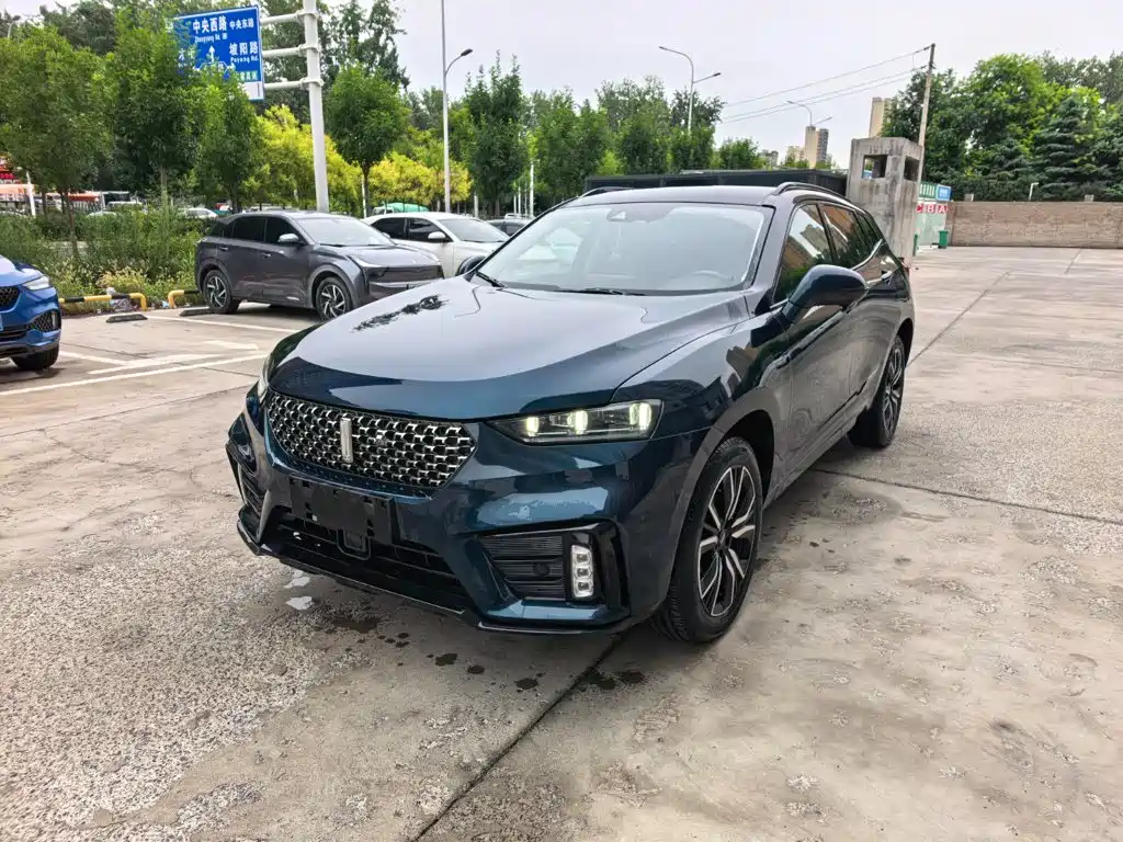 WEY VV7 2020 2020 Model 2.0T Flagship