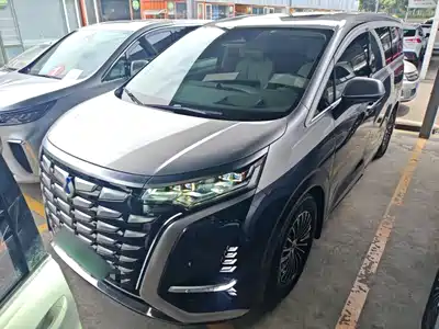 Denza D9