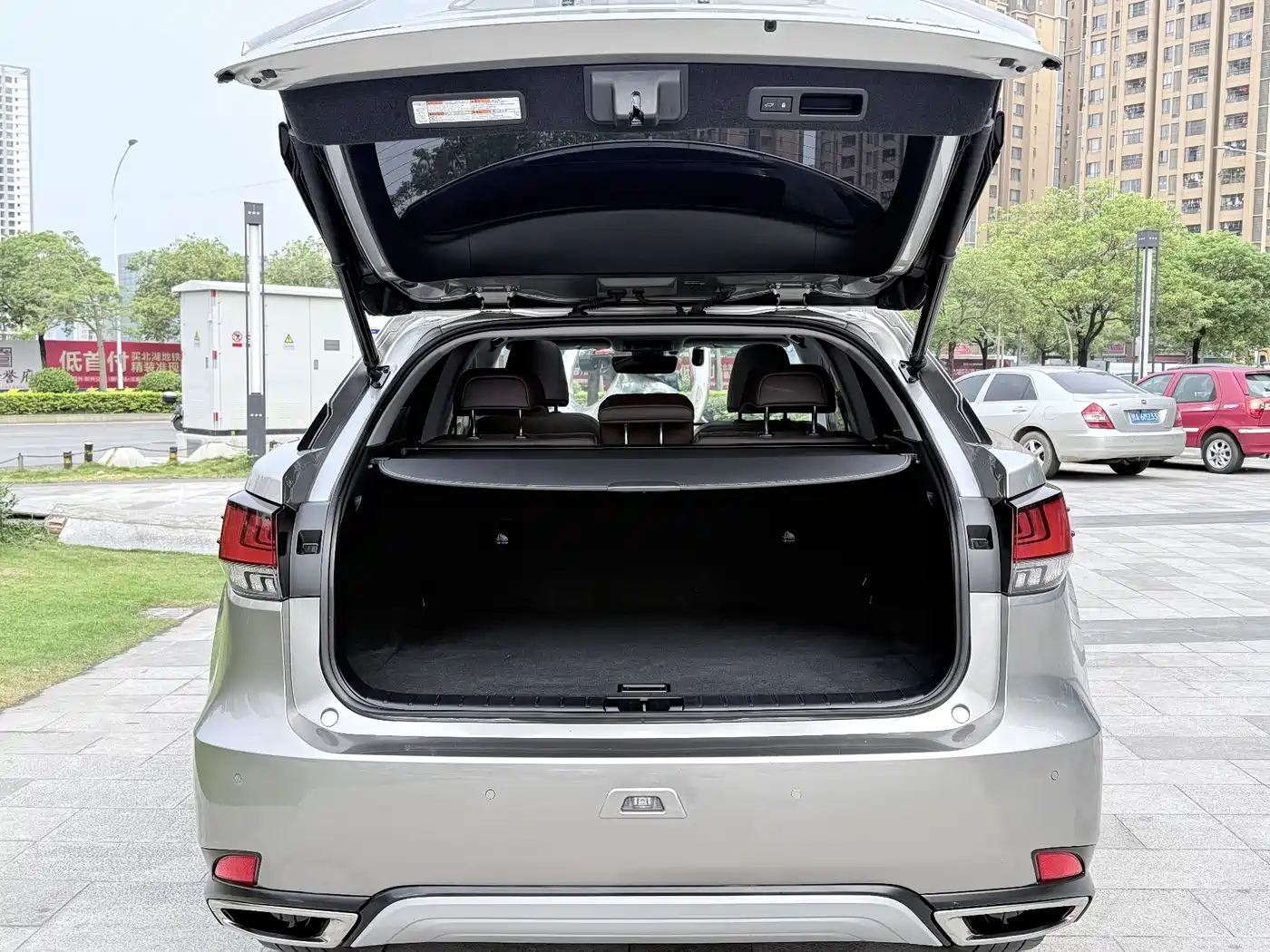 Lexus RX 2020 300 AWD Elegance Edition China V фото 19