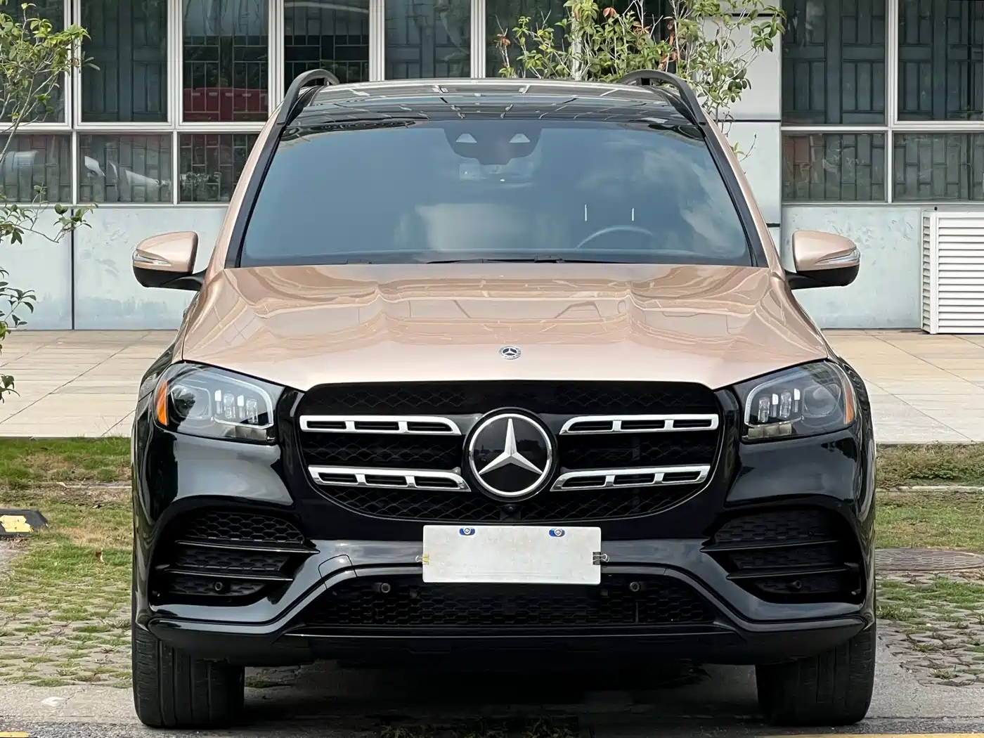 MERCEDES-BENZ GLS