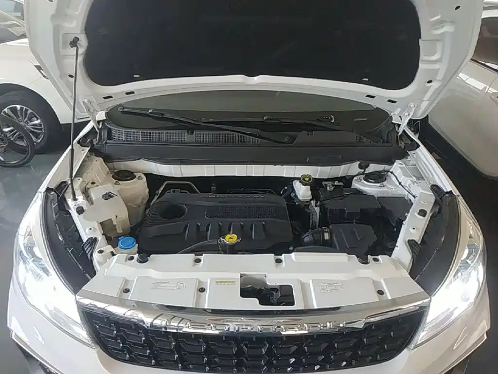 Leopaard CS9 2018 2017 1.5L Manual Trend