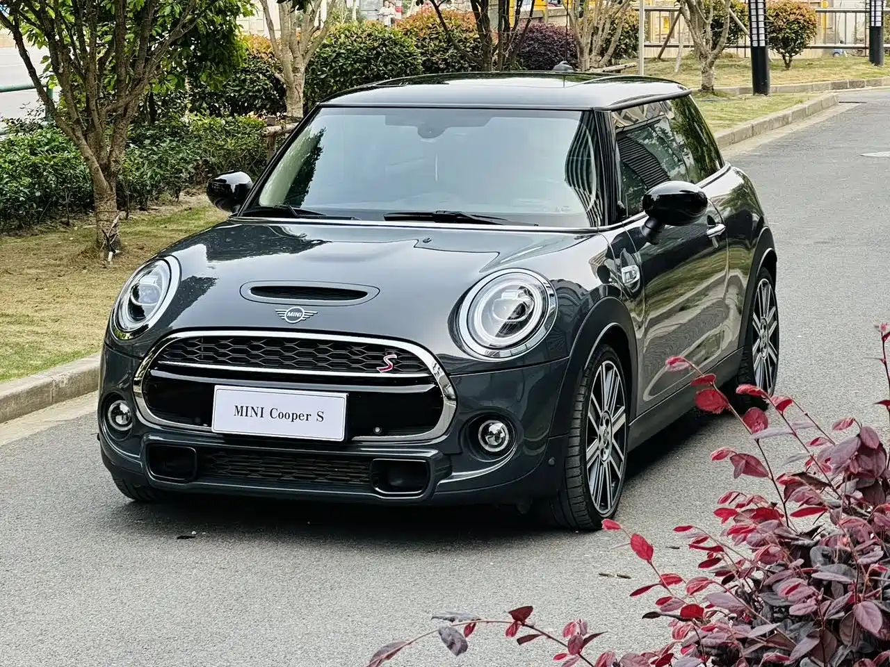 MINI MINI 2021 2.0T COOPER S Artist