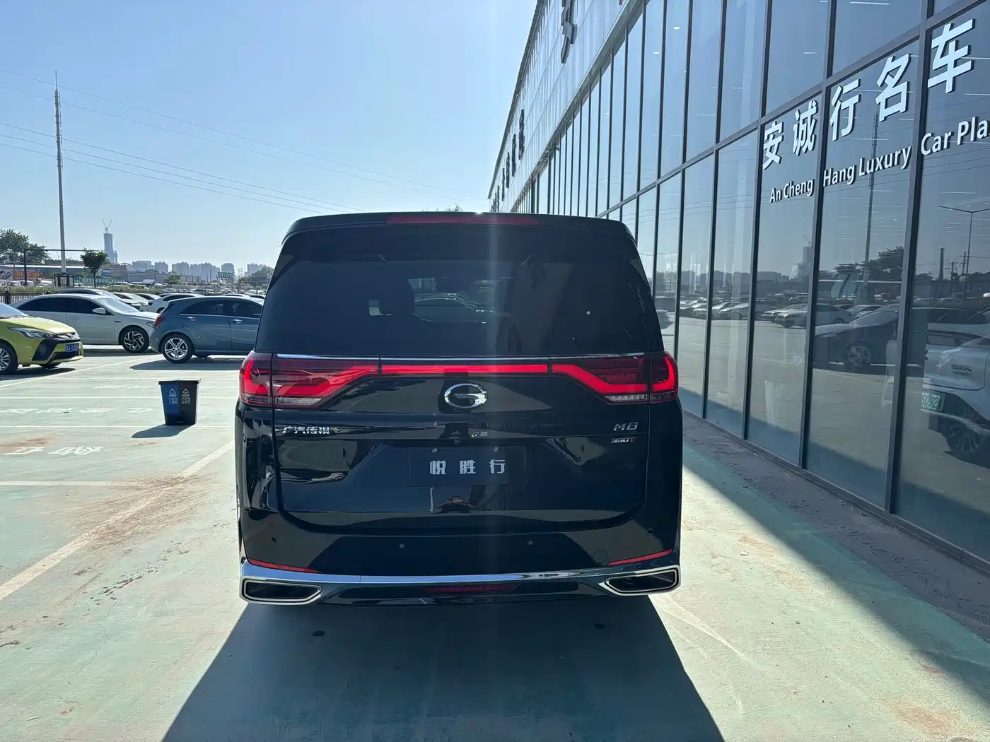 GAC Trumpchi Trumpchi M8 2023 Leading Series 390T Prestige Edition фото 11
