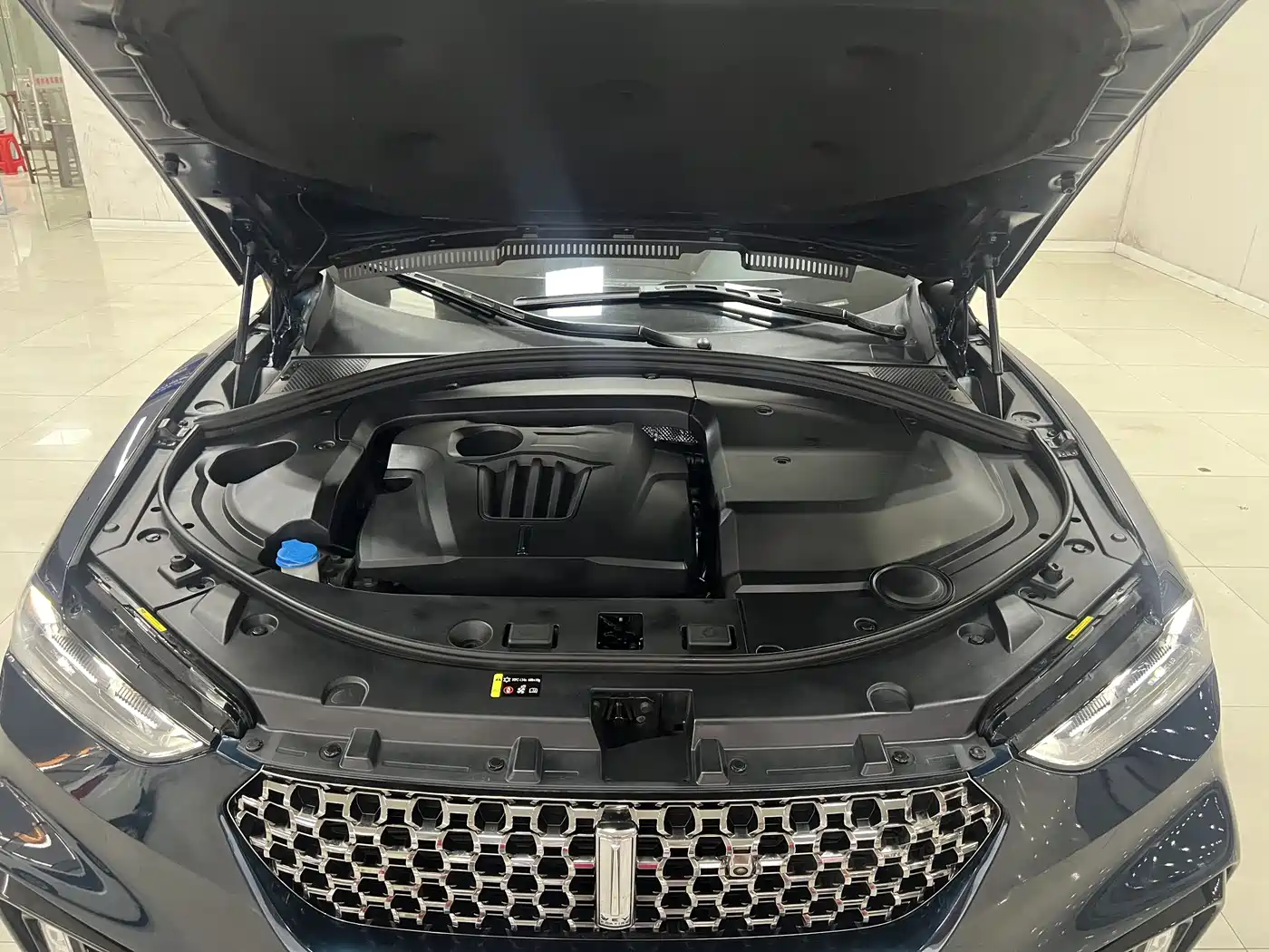 WEI PAI WEI BRAND VV7