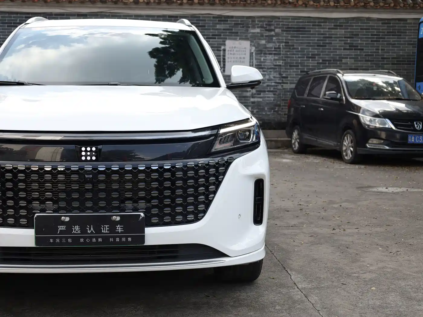 Landian E5 2024 2024 Glory Edition 100KM Ultimate Type 7-Seater