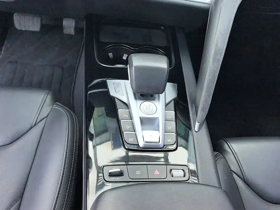 BYD Song Pro New Energy 2021 2019 EV High Power Luxury Model