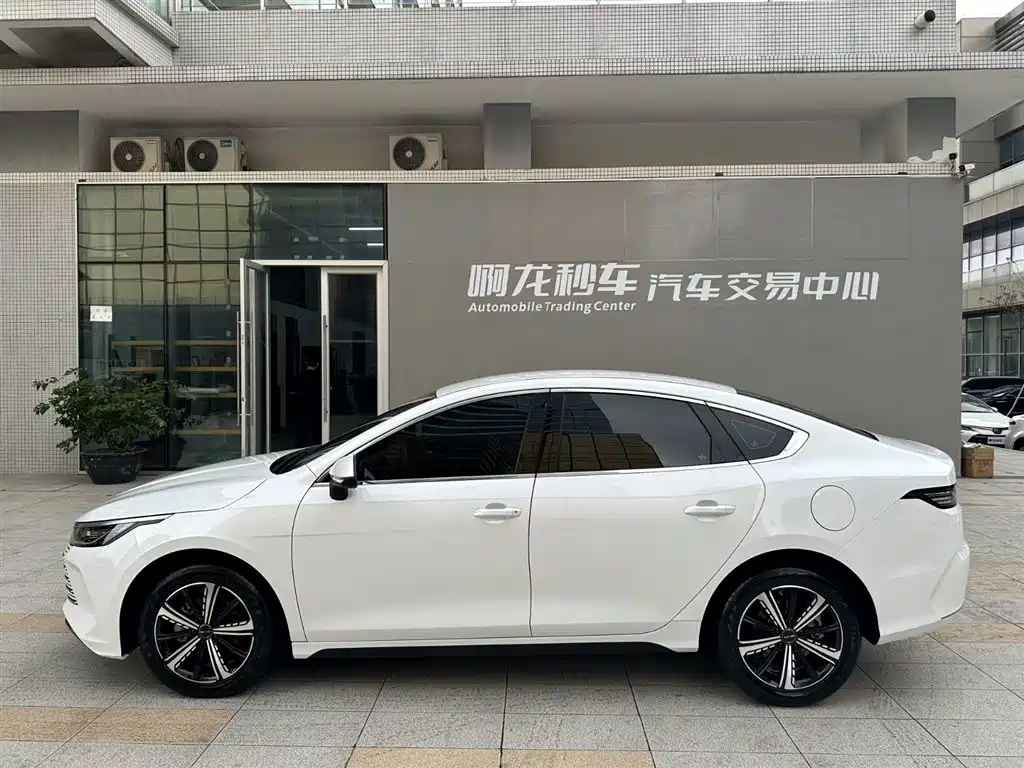 BYD Destroyer 05 2024 Glory Edition DM-i 120KM Luxury фото 19