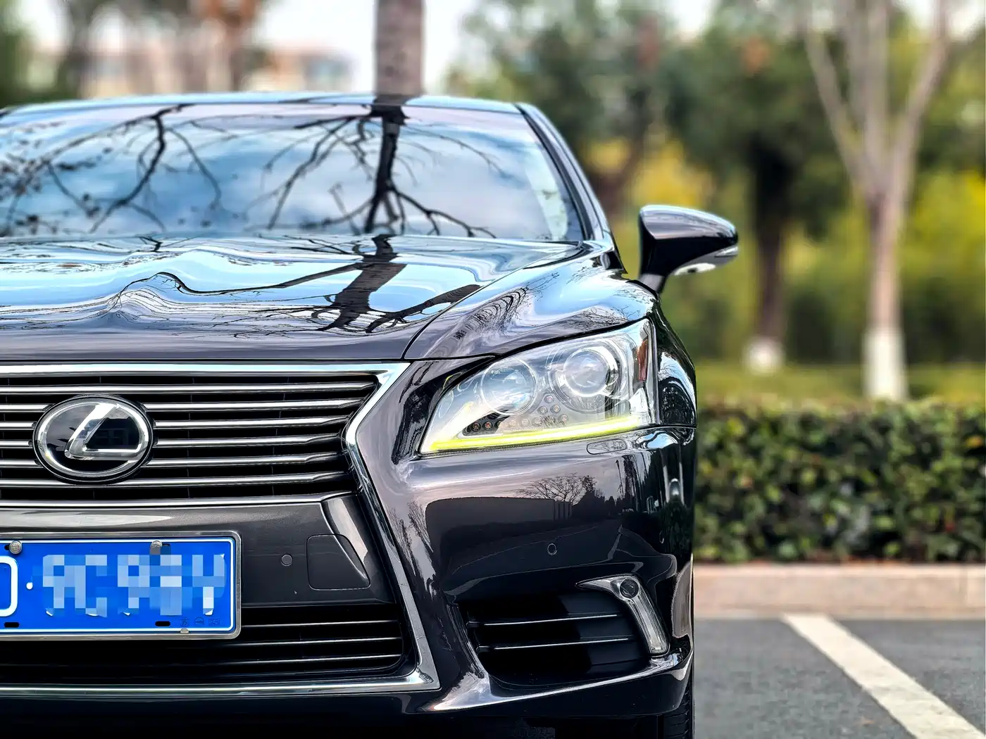 Lexus LS 2016 460L фото 3