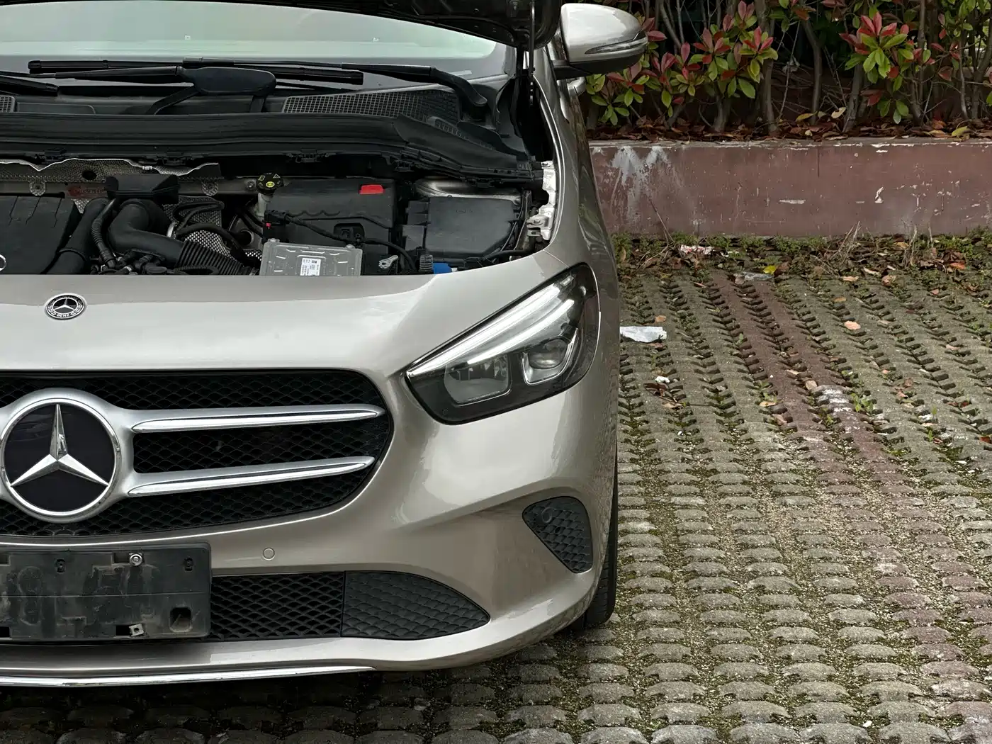 Mercedes-Benz B-Class 2020 B 200 Sport Edition фото 27