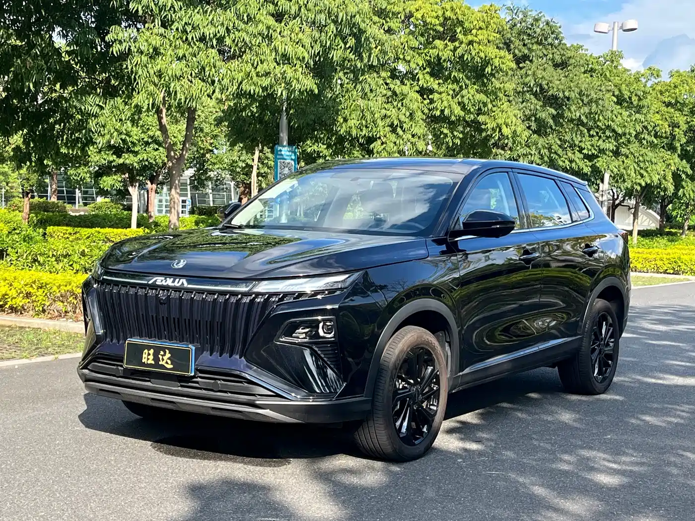 2025 Dongfeng Aeolus Haoji