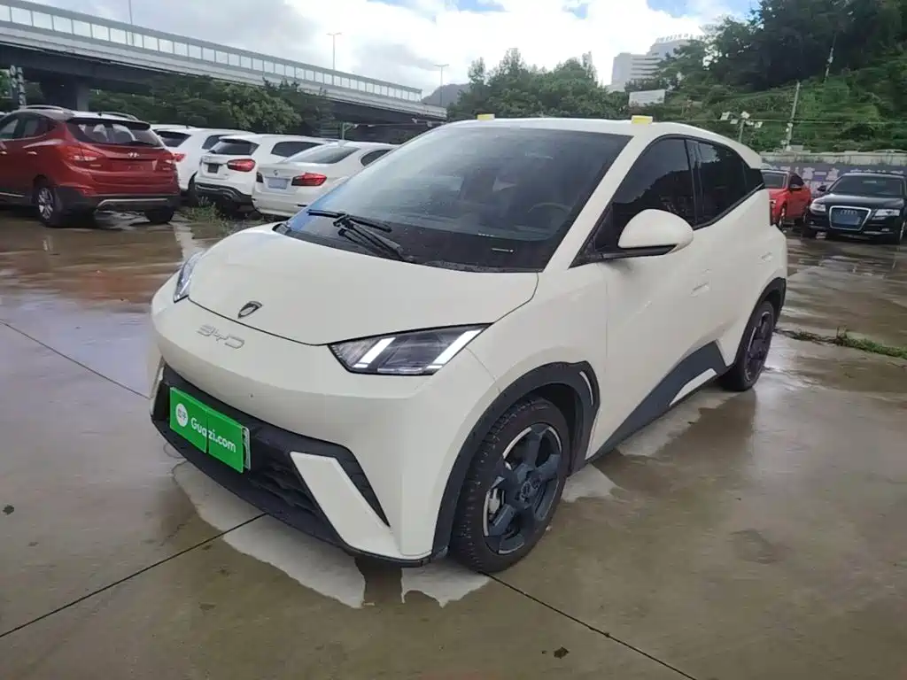 BYD Seagull 2023 2023 Freedom Edition
