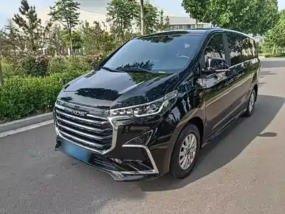 Maxus G20