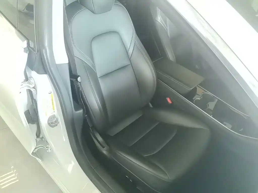 Tesla Model 3 2020 2020 Facelift Standard Range RWD Upgrade