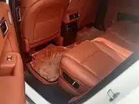 фото авто