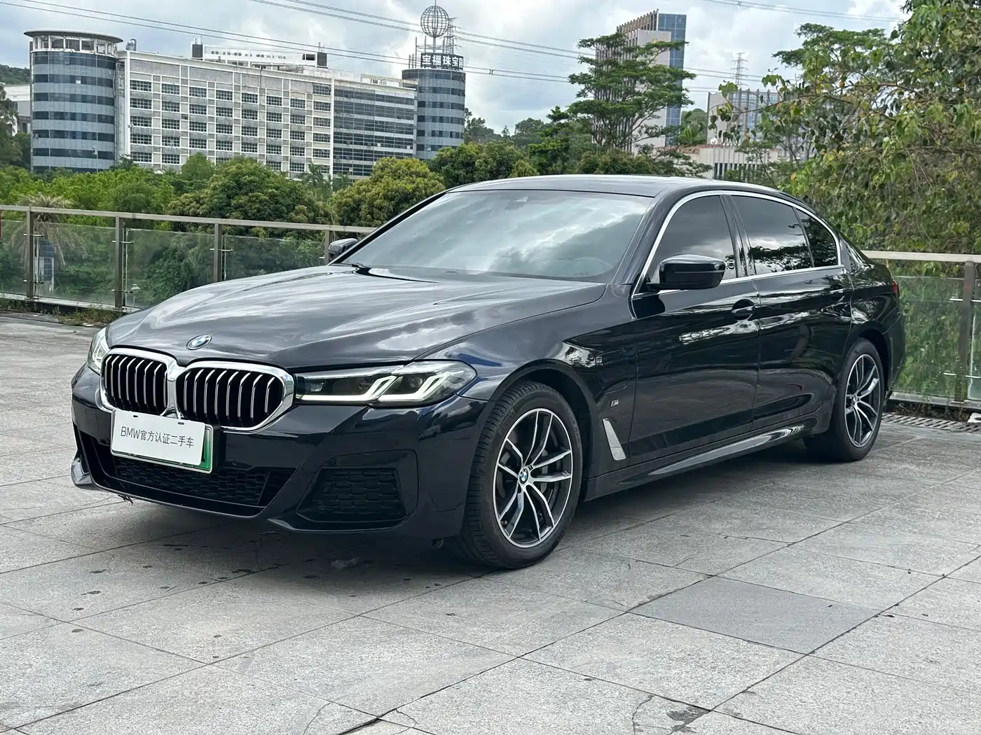 BMW 5 Series New Energy 2022